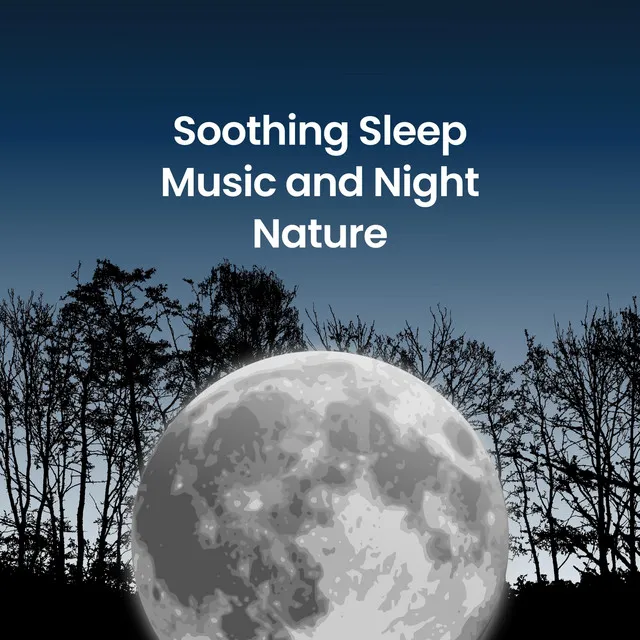 Soothing Sleep Music and Night Nature