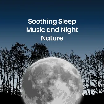 Soothing Sleep Music and Night Nature by Moments of Clarity