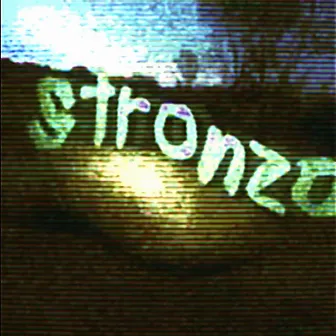 stronzo by Siaga