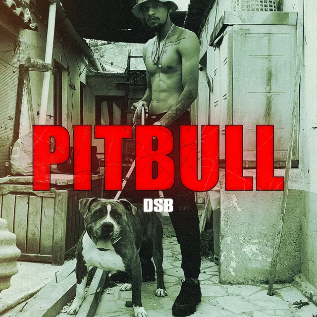 Pitbull