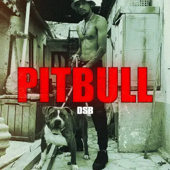 Pitbull by DSB 1224