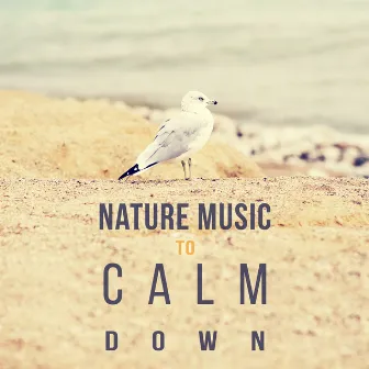 Nature Music to Calm Down – Relaxing Sounds of Nature, Peaceful Music, Rest for a Moment by Absolutely Relaxing Oasis