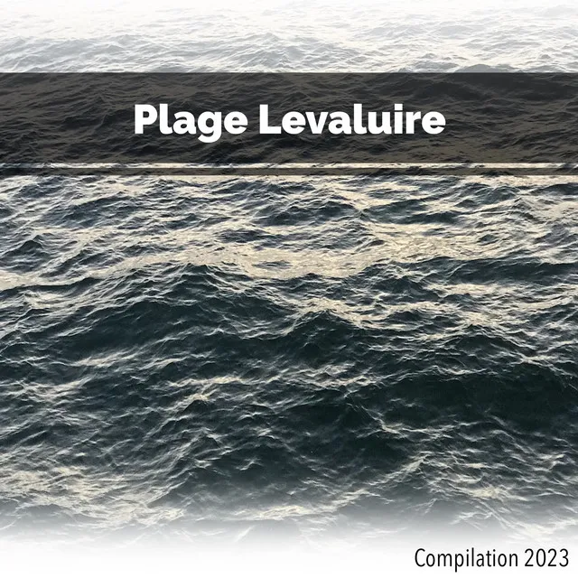 Plage Levaluire Compilation 2023