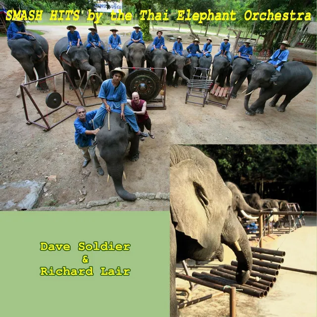 Elephant Field Recordings