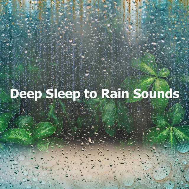 Deep Sleep to Rain Sounds