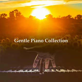 Gentle Piano Collection by 365 Piano