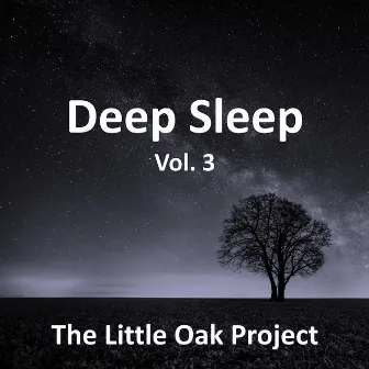 Deep Sleep Vol. 3 by The Little Oak Project