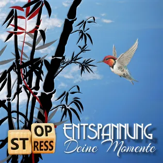 Stop Stress Entspannung: Deine Momente by Wellness Pur