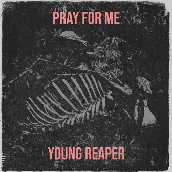 Pray for Me by Young Reaper