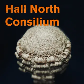 Consilium by Hall North