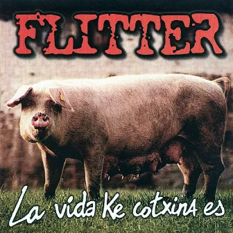 La Vida Ke Cotxina Es by Flitter