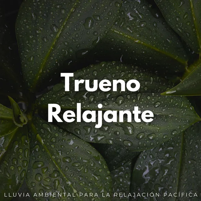 Reverie De Lluvia Relajante