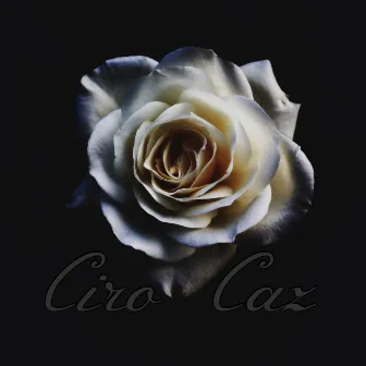 Sin tu amor by Ciro Caz