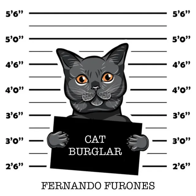 Cat Burglar