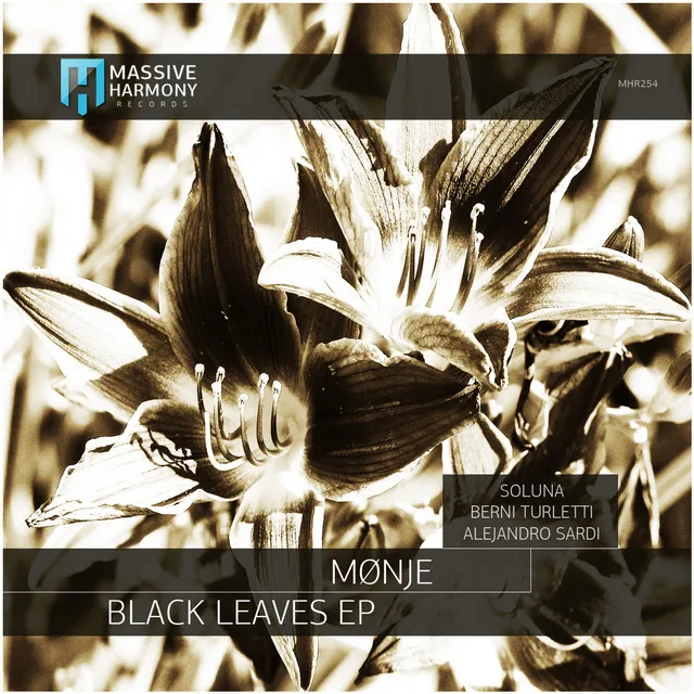 Black Leaves - Soluna Remix