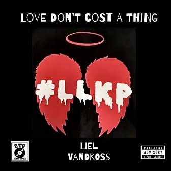 Love Don't Cost A Thing by Liel Vandross