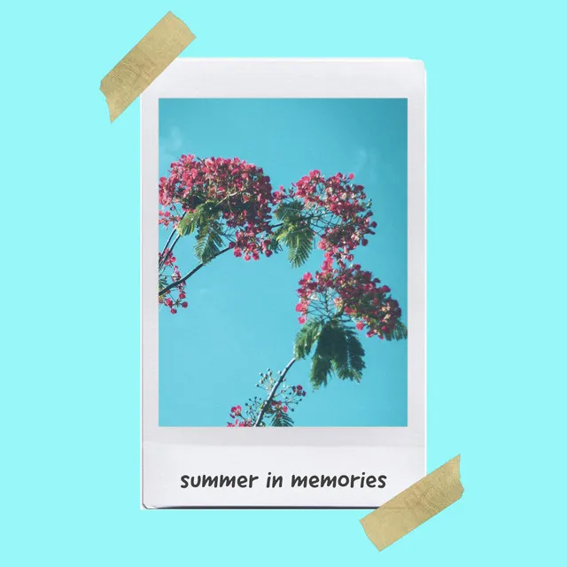 summer in memories