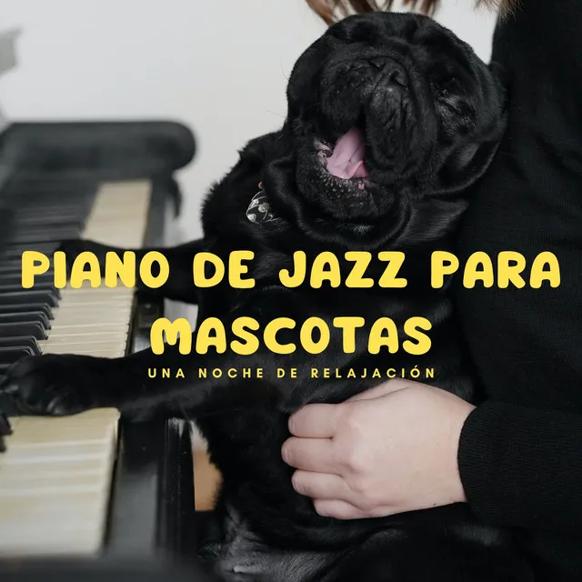 Piano De Jazz Para Mascotas: Una Noche De Relajación