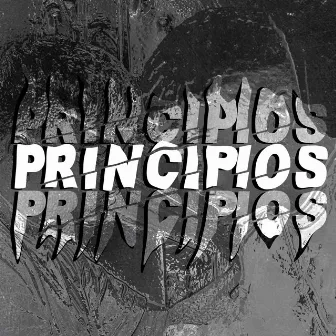 Principios by Fleks