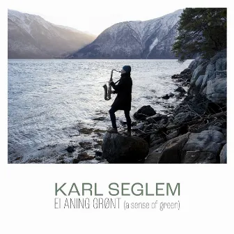 Ei aning grønt (a sense of green) by Karl Seglem