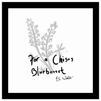 For a Chisos Bluebonnet by Eli Winter