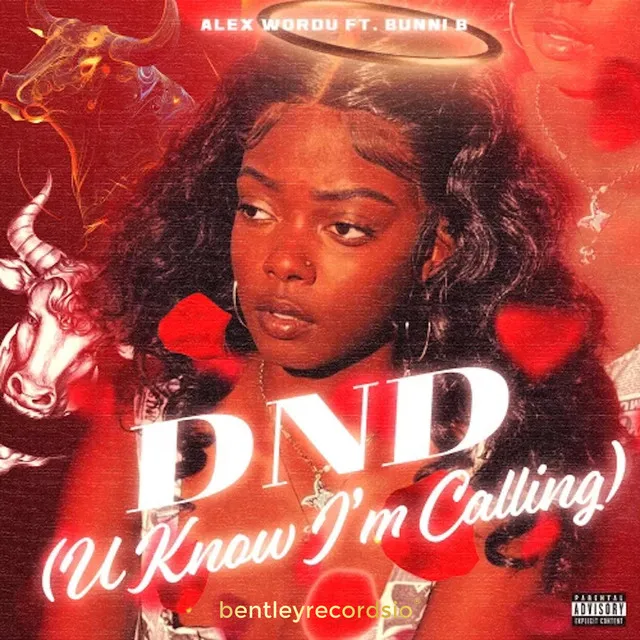 DND (U Know I'm Callin') - Remix