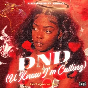 DND (U Know I'm Callin') [Remix] by Alex Wordu