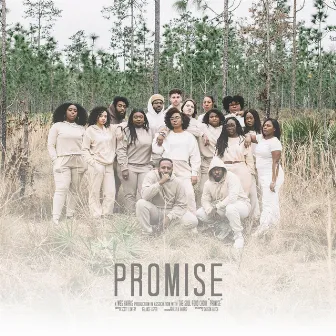 Promise by Wes Harris