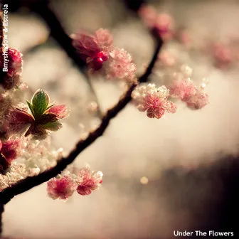 Under The Flowers by Estrela