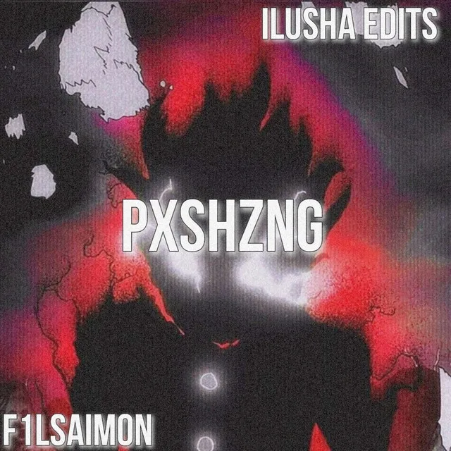 PXSHZNG