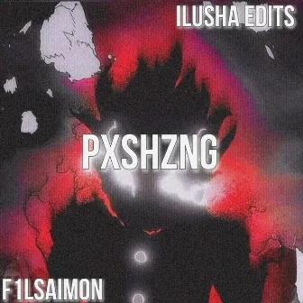 PXSHZNG by ilusha~edts