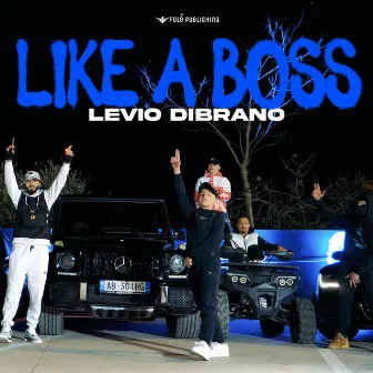 Like a Boss by Levio Dibrano