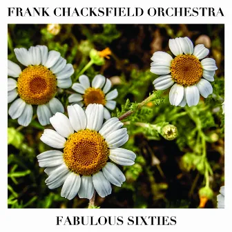 Fabulous Sixties by Frank Chacksfield Orchestra