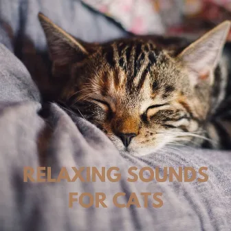 Relaxing Sounds for Cats by Muziek voor Katten Achtergrondmuziek