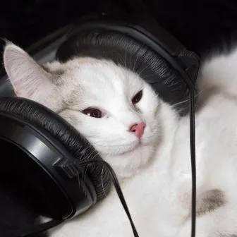 Feline Euphoria: Ambient Music Cats by Unknown Artist