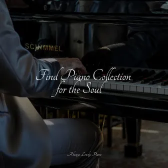 Find Piano Collection for the Soul by Tinnitus