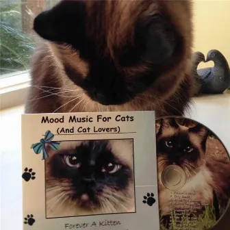 Mood Music for Cats (And Cat Lovers) 2 by Cheryl Christine