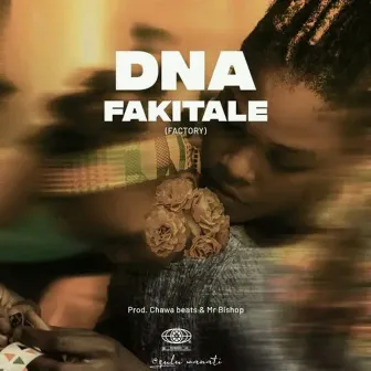 Fakitale by DNA