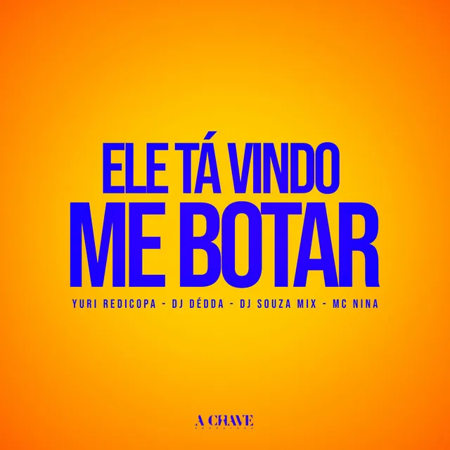 Ele Tá Vindo Me Botar (feat. DJ SOUSA MIX)