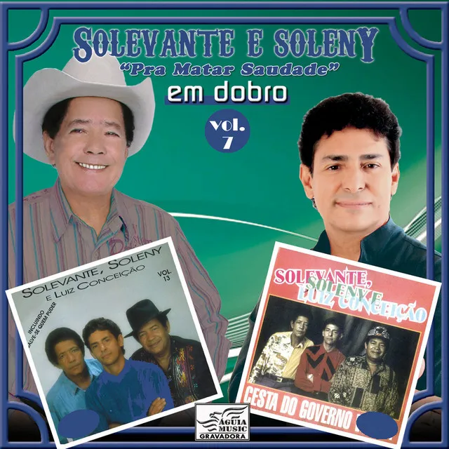 Pra Matar Saudade em Dobro, Vol. 7