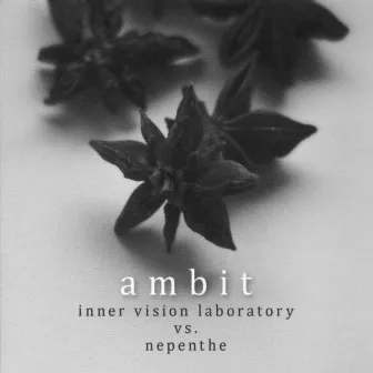 ambit by Nepenthe