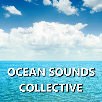 Ocean Sounds Collective by Ocean Sounds Collective