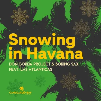 Snowing in Havana by Boring Sax