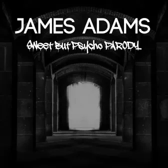 Sweet But Psycho (Parody) by James Adams