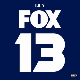 Fox 13 by Lil Y