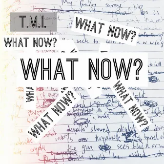 What Now? by T.M.I.