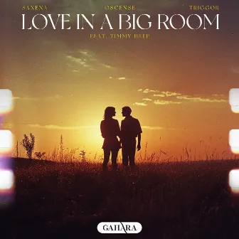 Love In A Big Room by Triggor