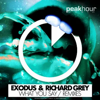 What You Say (Remixes) by Richard Grey