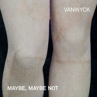 Maybe, Maybe Not by VanWyck