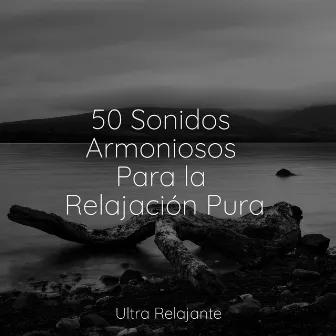 50 Sonidos Armoniosos Para la Relajación Pura by Unknown Artist